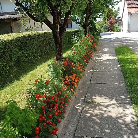 Apartman Skudar Б'єловар Екстер'єр фото