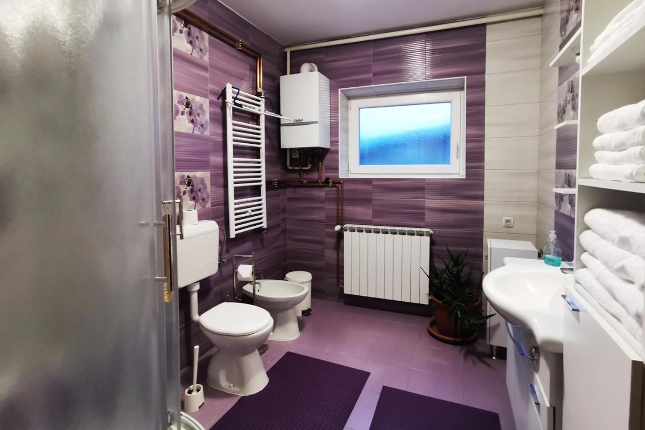 Apartman Skudar Б'єловар Екстер'єр фото